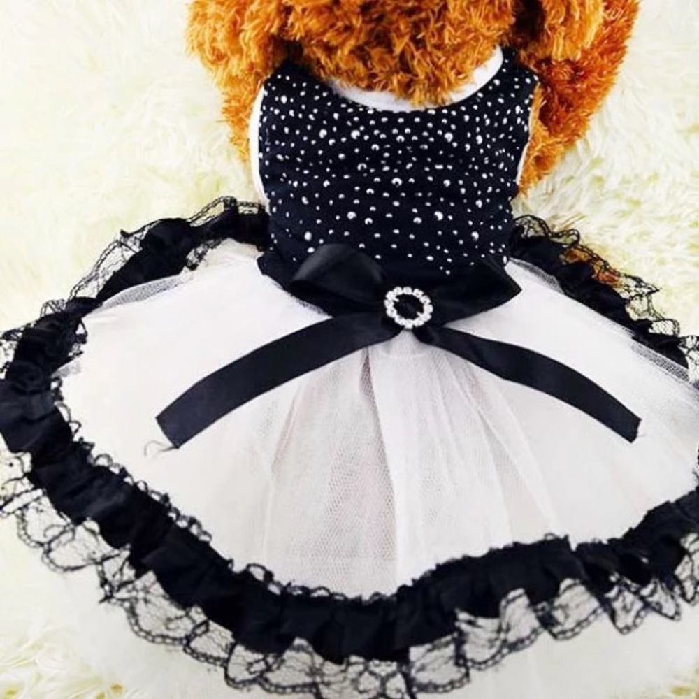 pet dresses set for sale - Picture 8 of 8